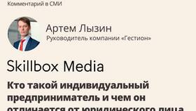Чем отличается индивидуальный предприниматель от юридического лица в Levis