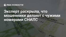 Что делать, если мошенники украли СНИЛС в Levis