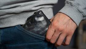 Что оплачивает проигравшая сторона в суде в Levis
