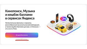 Как эффективно использовать Яндекс Плюс на Яндекс Маркете в Levis