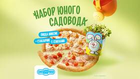 Как играть в игру Dodo Pizza в Levis
