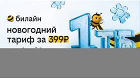 Как купить гигабайты на телефон Билайн в Levis