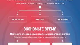 Как оплатить налоги и взносы для ООО в Levis