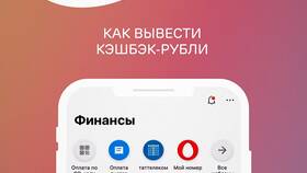 Как перевести кэшбэк в рубли в Ак Барс Банке в Levis