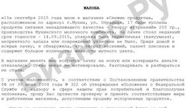Как правильно написать заявление-жалобу в Levis