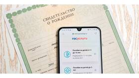 Как узнать кто прописан через Госуслуги в Levis