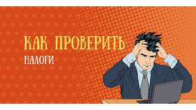Как узнать за что задолженность в ФНС в Levis