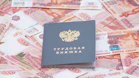 Как заказать справку о трудовой деятельности через Госуслуги в Levis