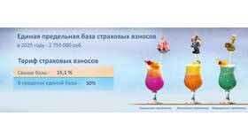 На что влияют страховые взносы работодателя в Levis