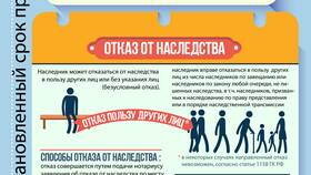 Пошаговая инструкция по оформлению наследства в Levis