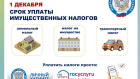 С чего уплачиваются налоги в Levis