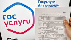 Сколько занимает регистрация ИП через Госуслуги в Levis