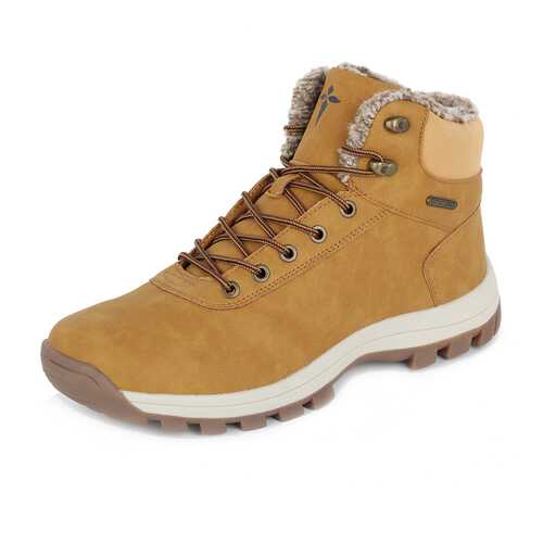Ботинки мужские T.Taccardi 79707370 коричневые 43 RU в Levis