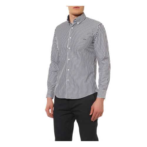 Сорочка мужская Paul & Shark P16P1334SF/403 белая 42 IT в Levis